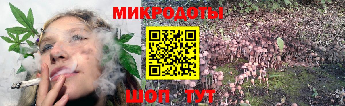 Галлюциногенные грибы Psilocybine cubensis Камышлов